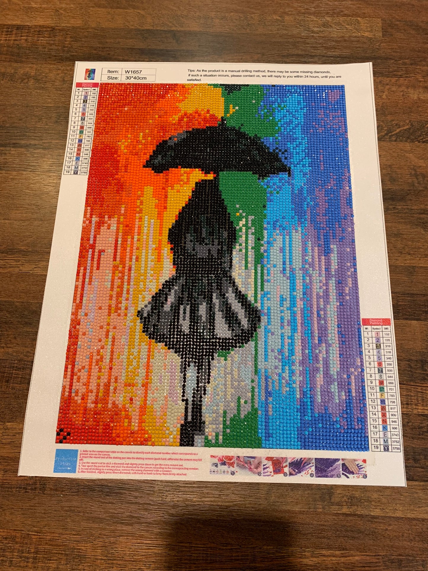 Rainbow Umbrella Girl 5D Painting (Completed)