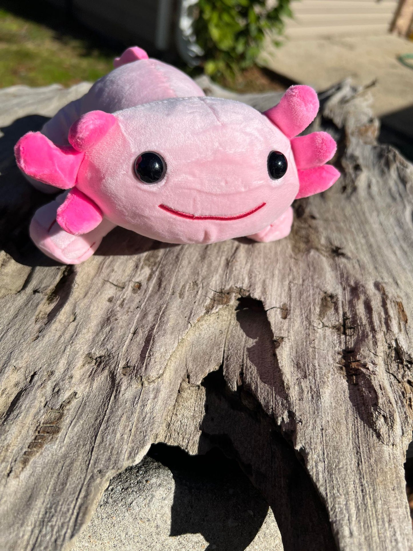 Axolotl Plushie