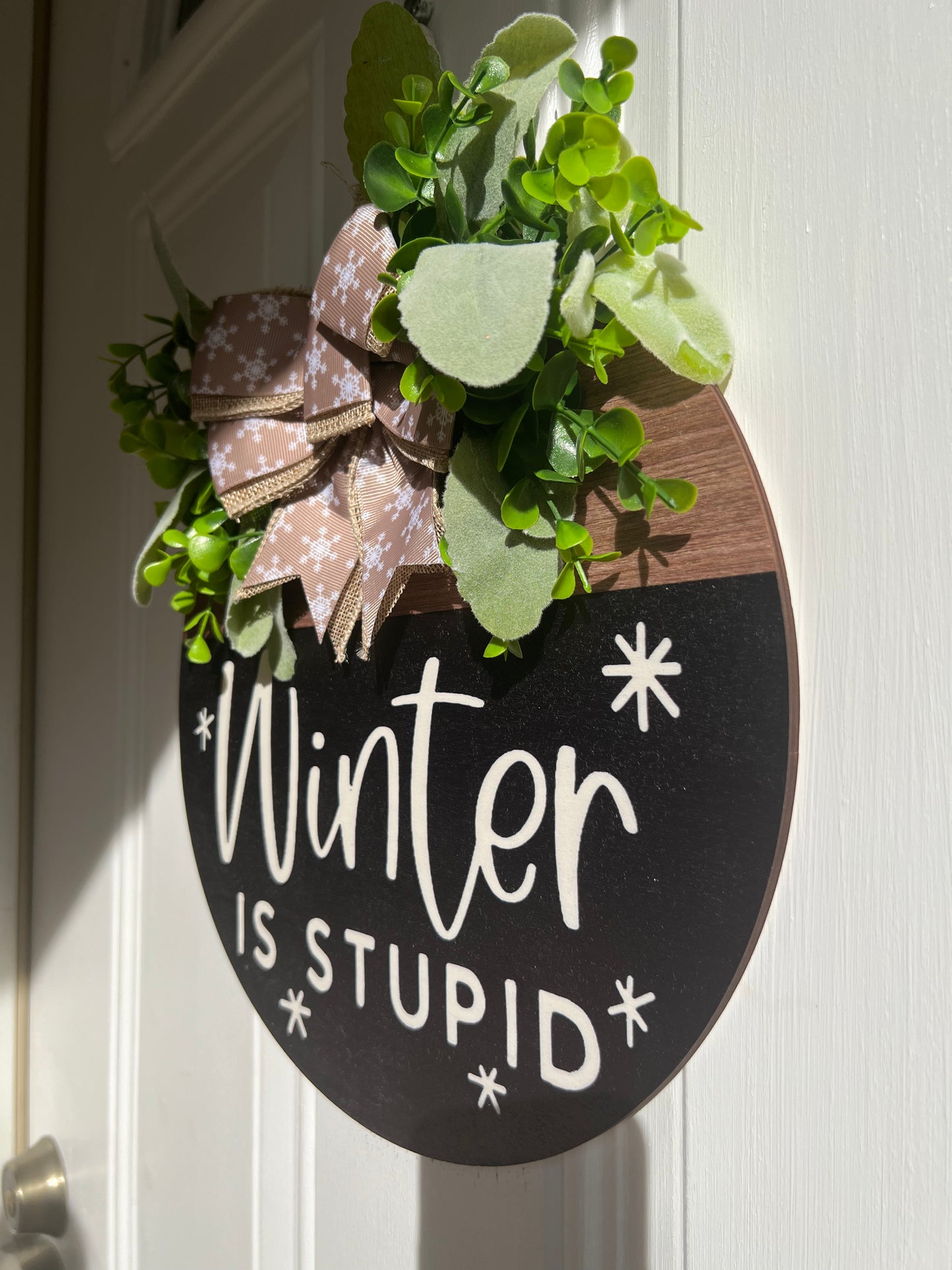 Winter is Stupid Door Hanger