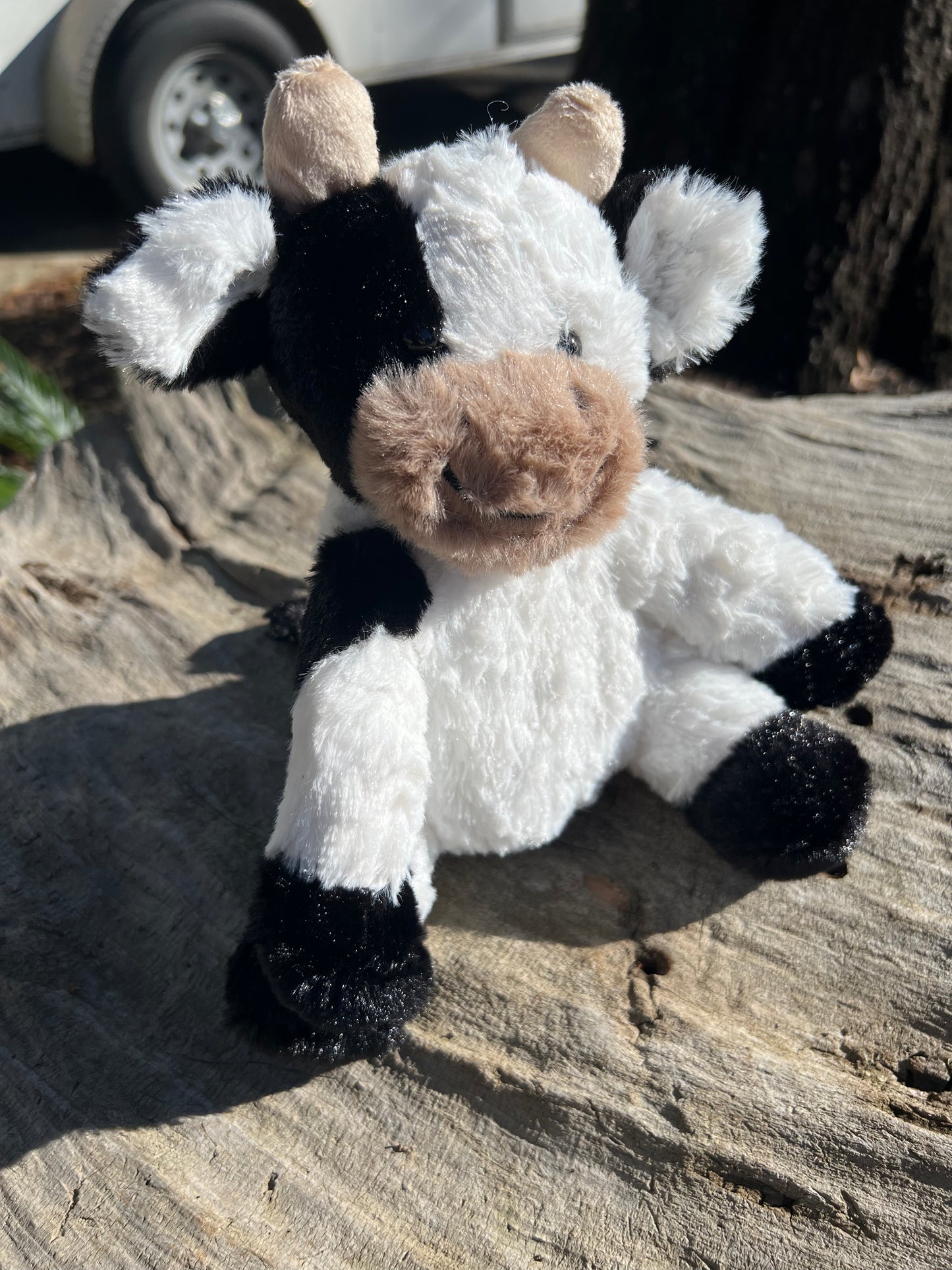 Cow Stuffed Animal