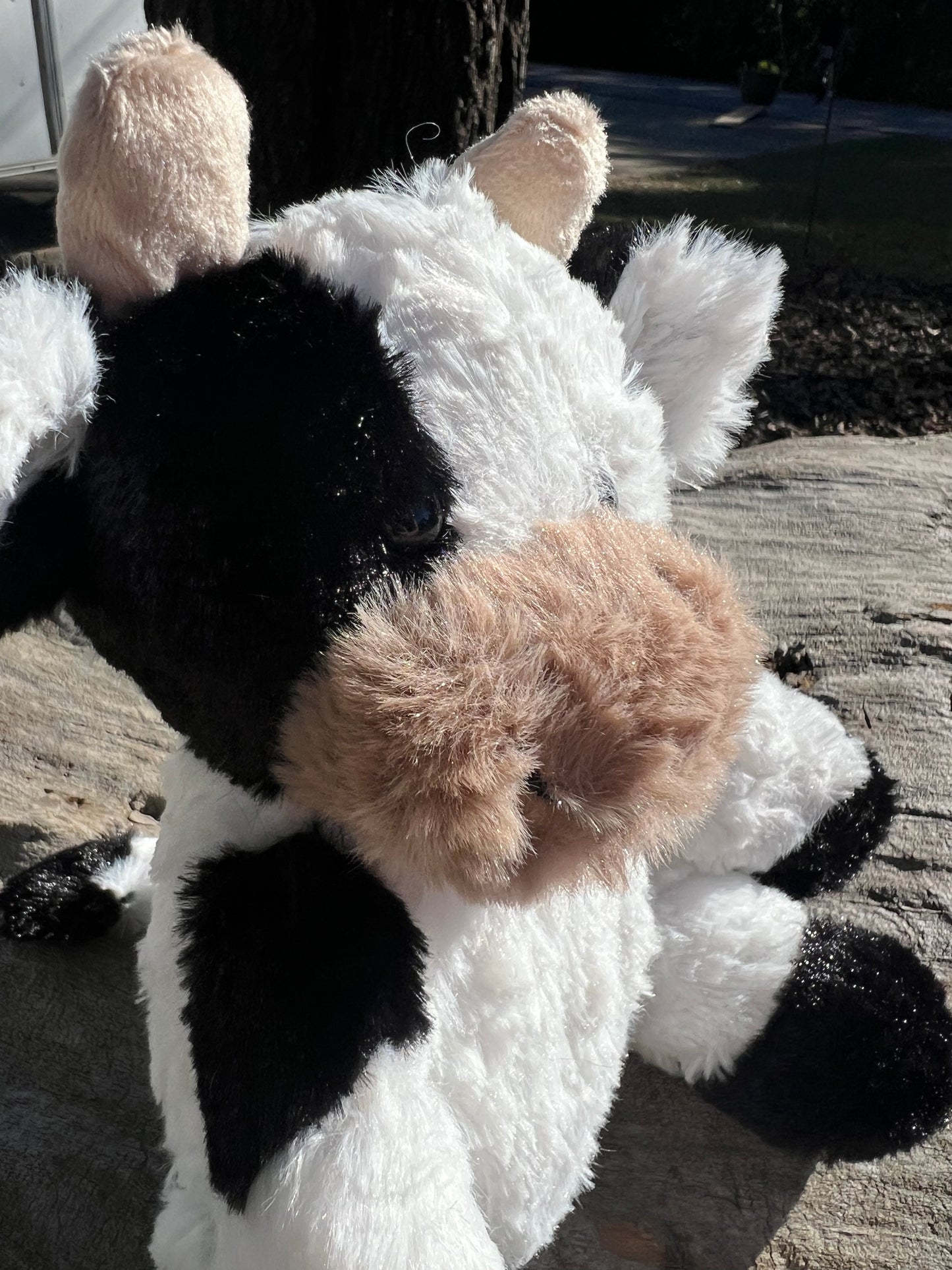 Cow Stuffed Animal