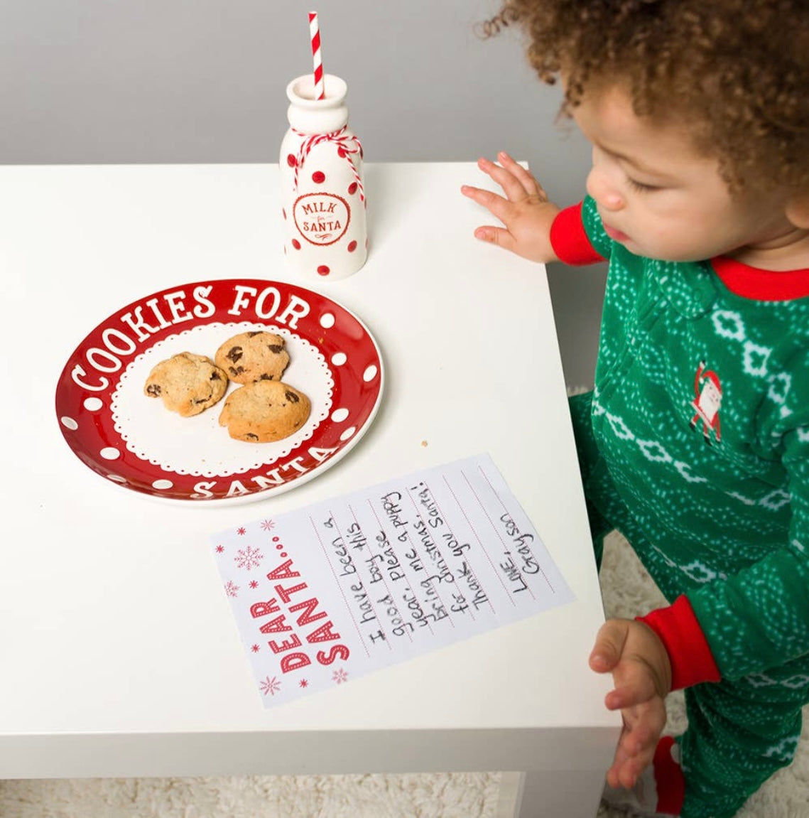 Santa's Milk & Cookie Set